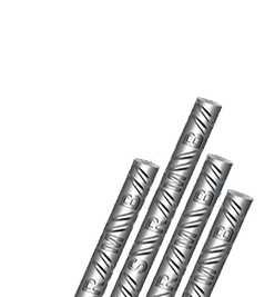 /assets/images/pro-pic1.png